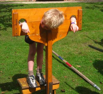 in the stocks