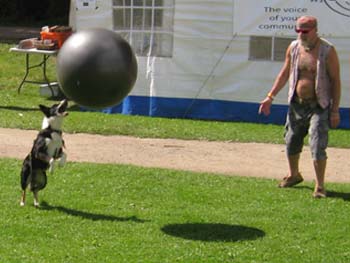 MFFF 2013