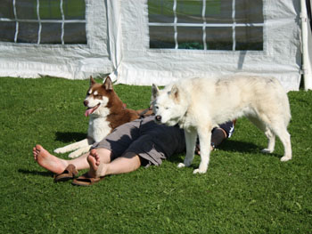 MFFF 2013